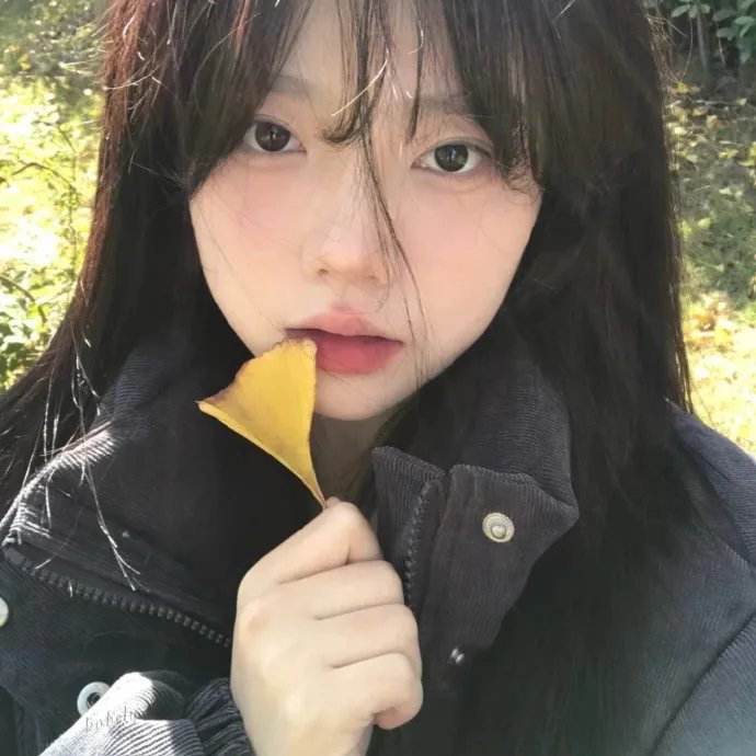 气盖山河