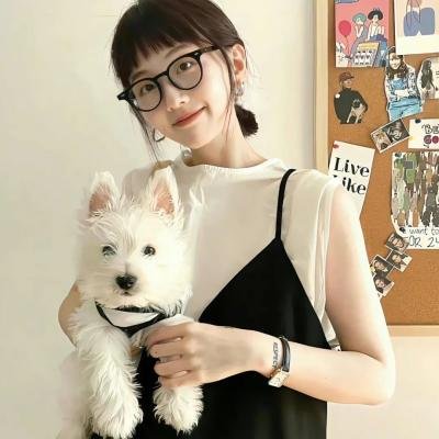 玫瑰计划
